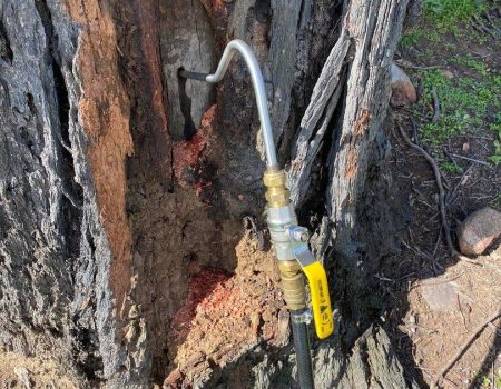 termites newcastle JRG pest control services
