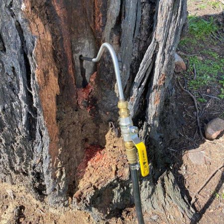 termites newcastle JRG pest control services